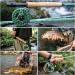 Soougayilang Fly Fishing Rod & Reel Combo - 4-Part Portable Graphite #5/6 - Complete Package with Rod Shell for International Shipping - Buy Online on GoSupps.com