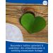 Param Bed Protection Pad - Washable Incontinence Pad 85x90 cm | High Comfort & 2300 ml Absorption | Protect Your Bed & Textiles - Buy Online on GoSupps.com