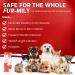 PoviGel 3-Way Healing Ointment for Dogs & Cats | Povidone Iodine 3% Hydrogel | Wound Care Hot Spot & Skin Irritation Relief - Buy Online on GoSupps.com