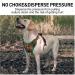 Docio Large Dog Harness - Reflective Breathable Soft Camouflage Safety Gear for Medium & Large Dogs - Anti-Training Design (1 Pack) - Buy Online on GoSupps.com