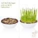 Pretty Kitty Cat Grass Seeds - 25g for 10 Pots | Natural Cat Treats | Premium Grass Seeds for Your Feline - Buy Online on GoSupps.com