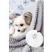 Pawprint DIY Clay Kit for Pet Keepsake Ornament - Dog/Cat Owner Holiday Decor - Buy Online on GoSupps.com