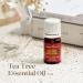 Buy Young Living Tea Tree Essential Oil 5ml - Purify & Revitalize Skin Hair & Nails - Fast International Shipping - Buy Online on GoSupps.com