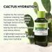 Dr.Melaxin Cactox Cactus Essence Pore Relief Toner 150ml Hydrating & Soothing Facial Toner for Sensitive Skin Barrier Care Gentle Pore Care - Buy Online on GoSupps.com