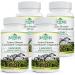 SZCZEKIN Active Hexose Correlated Compound 1500 mg - Pack of 4 - 90 Capsules