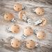 Ruby 10-Piece Natural Wood Pacifier Clips | Safe & Stylish Dummy Clip Holder for Babies and Kids - Buy Online on GoSupps.com