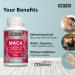 VISPURA Maca Root Capsules 5000 mg + L-Arginine | Energy Boosting Formula with Vitamins B6  B12  OPC  Zinc | 120 Vegan Tablets | Organic Maca Peruana Extract | Men and Women - Buy Online on GoSupps.com