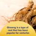 Santo Remedio Ginseng for Energy and Immune Support Dietary Supplement 200 mg 90 Capsules - Buy Online on GoSupps.com