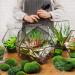 Chuangdi Artificial Moss Rock Assorted Stones and Balls with Preserved Green Moss - 20 Pieces for Floral Arrangements and Crafting Gardens - Buy Online on GoSupps.com