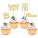 Gyufise 24Pcs Sweet 15 Cupcake Toppers Glitter Fifteen Vintage 2009 15th Birthday Cupcake Picks Hello 15 Years Birthday Cake Decorations for Happy 15th Birthday Anniversary Party Supplies Gold Gold 15th