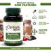 Dimmak Herbs Blood Purifier for Internal Cleansing & Detox | Promotes Liver and Kidney Health | Lab Tested Herbal Supplement - Buy Online on GoSupps.com