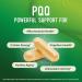 PQQ Supplement 40 MG | High Strength Pyrroloquinoline Quinone for Mitochondrial Biogenesis Cellular Energy & Brain Health Support | Mitochondria Supplement | Third-Party Tested Non-GMO | 60 Ct 40mg - Buy Online on GoSupps.com