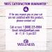 Wellness Complete Health Grain-Free Salmon & Herring Indoor Cat Food - 5.5 lb Bag - Buy Online on GoSupps.com