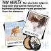 BUGALUGS Dog nose balm 30g Natural lick safe Paw balm for dogs contains Colloidal Oatmeal Dog paw cream Vegan formula nose balm for dogs reduces skin irritation and redness. - Buy Online on GoSupps.com