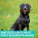 Dog is K nig Feed Bag - Dummy for Dog Training | All Breeds | Includes Training Book & Treats - Buy Online on GoSupps.com