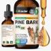 BIO KRAUTER Pine Bark Extract - Rich in Antioxidants Liquid Supplement - 400 mg French Maritime Pine Bark Extract Drops - Vegan Alcohol & Sugar Free - 2 Fl Oz 2 Fl Oz (Pack of 1)