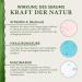 Bio Retinol Serum 50ml | Vegan High-Dose Retinol Hyaluron Aloe Vera & Niacinamide for Radiant Skin | Acne Solutions | Made in Germany - Buy Online on GoSupps.com