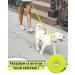 Looxmeer Neon Yellow Dog Tow Lines - 3m to 30m Tear-Resistant Leashes with Hand Loop & D Carabiner - Ideal for Training and Practice - Buy Online on GoSupps.com