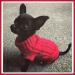 Chihuahua Clothes Puppy Dog Coat Knit Jumper Cosy Teacup Smaller Breeds XXXS Tiny Toy Miniature Dogs (XXXS RED) 3XS (Pack of 1) - RED