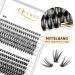 QUEWEL Individual Cluster Lashes - 240 Pieces 0.07C Curl DIY Eyelash Extensions (40D & 50D Mix 8-14mm) for Natural Look - Buy Online on GoSupps.com
