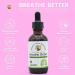 Creator's Touch Botanicals Breathe Better Support Lung Nutritional Supplement Liquid 2fl.oz Tincture Bottle Mullein Plantain Ginger Oregano Black Cumin Seed Macerated Herbs for Potency. - Buy Online on GoSupps.com