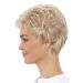 Lofty Wig Ellen - High-Quality Synthetic Hair in Light Blonde/Sand Blonde Mix | Realistic & Comfortable International Shipping - Buy Online on GoSupps.com