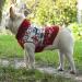 Christmas Dog Sweater | Warm Turtleneck Knitwear | Snowflake & Elk Patterns | Perfect Gift for Puppies & Dogs - Buy Online on GoSupps.com