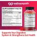 ACV Keto Gummies for Weight Loss - Sugar Free Vegan Appetite Suppressant Detox & Digestion - 60 Count - Buy Online on GoSupps.com