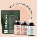 Choline Supplement with Acai Berry Turmeric Artichoke Ginger Acai and More Made in The UK 120 Vegan Gluten-Free Tablets - Buy Online on GoSupps.com