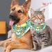 Shop Triangular Cloth Bibs for Dogs & Cats - Multicolored Set of 2 - Dog Hollow Lion Zebra Tiger Designs - Perfect for Small Medium & Large Pets - Buy Online on GoSupps.com