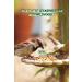 Jan-Pet Premium Mealworms 1kg - Dried Bird & Animal Feed for Wild Birds Hedgehogs Squirrels Hamsters Chickens & Fish - Buy Online on GoSupps.com