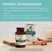 Himalaya Organic Ashwagandha Stress Relief Supplement - 2 Month Supply | USDA Certified Organic, Non-GMO, Gluten-Free | 100% Ashwagandha Powder & Extract - 670mg, 60 Caplets - Buy Online on GoSupps.com