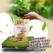 Organic Sprouted Maple Walnuts - 1 lb | TATA RAW - Buy Online on GoSupps.com