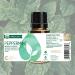 Buy Rocky Mountain Oils Organic Peppermint Essential Oil 15ml - 100% Pure & USDA Organic for Aromatherapy & Topical Use Ships Internationally - Buy Online on GoSupps.com