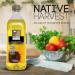 Native Harvest Expeller Pressed Non-GMO Sunflower Oil, 1 Litre (33.8 FL OZ) Sunflower 67.6 Fl Oz (Pack of 1)