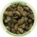 Natural Health 4 Life Caramelised Cinnamon Honey Cashews 300g - Buy Online on GoSupps.com