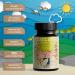 High Dose Selenium 200 g Tablets - 100% Vegan 3 Premium Sources | Selen 2x365 - No Additives International Shipping - Buy Online on GoSupps.com