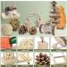ERKOON Hamster Chew Toys 13 Pack Gerbil Toys Natural Wooden Small Animal Toys Teeth Care Molar Toy Boredom Breaker Treats Dumbbells Exercise Bell Roller for Rat Guinea Pig Chinchilla Rabbits - Buy Online on GoSupps.com
