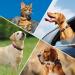 Personalized Yhananti Dog Engraving - Quiet Silicone Pet Tag with Name Phone & Address - Perfect for Dogs Cats & Puppies (Pink & Black M - 19mm Wide Collar) - Buy Online on GoSupps.com