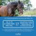 Str h Electrolyte for Horses + Glucose 1.5kg | Mineral Salt Powder & Vitamins with Biotin Iron Zinc Selenium | Optimal Mineral Feed for Healthy Horses - Buy Online on GoSupps.com
