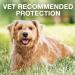 K9 Advantix II Flea and Tick Prevention 6-Pack for Extra-Large Dogs | Over 55 lbs - Buy Online on GoSupps.com