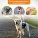 Soft Dogs Carrying Aid - Adjustable Walking Support for Disabled Injured & Senior Dogs | International Shipping - Buy Online on GoSupps.com