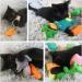 onebarleycorn Cat Catnip Toys 12 Pcs Cat Toys for Indoor Cats Adult Kitten Cat Plush Chew Teeth Cleaning Toy Cat Interactive Toys Pillow Cat Crinkle Balls - Buy Online on GoSupps.com