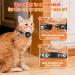 Waterproof Airtag Cat Collar - Reflective Adjustable Neck Band for Kittens & Puppies | Safety Lock | Compatible with Apple Airtag (20-33 cm) - Buy Online on GoSupps.com