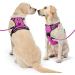 Nestroad Large Dog Harness & Leash Set - Rose Red | Adjustable Size L (Neck 38-48cm Breast 48-74cm) | Includes Car Seat Belt for Large Dogs - Buy Online on GoSupps.com