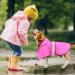 Buy Weesiber Reflective Waterproof Dog Raincoat - Adjustable Pet Jacket Light Poncho with Hood for Small to Large Dogs & Puppies (Medium Pink) - Buy Online on GoSupps.com