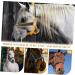 BCOATH Portable Fully Equipment Halter Reflective Racing Bridle Horse Adjustable Head Riding Tool - Buy Online on GoSupps.com