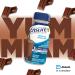Ensure Regular Nutritional Supplement Shake Value Pack Nutrition To Stay Active And Energetic Chocolate 24 x 235-mL Bottles - Buy Online on GoSupps.com