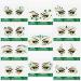 117 Pcs St. Patrick's Day Glitter Face Tattoos - Shamrock Clover Temporary Jewelry Stickers for Party Accessory - 33 Sheets - Buy Online on GoSupps.com