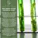 Qidosha Bio Chlorella - 600 pcs | 500mg Natural Organic Chlorella Powder | 100% Bio & Broken Cell Wall - Buy Online on GoSupps.com